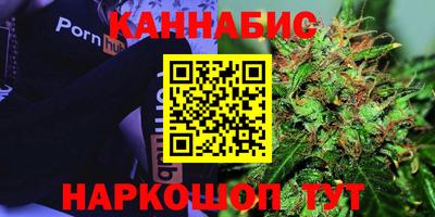 spice Гатчина