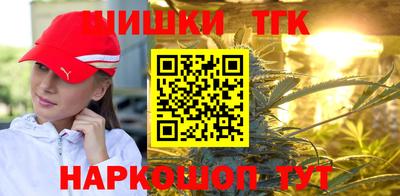 spice Гатчина