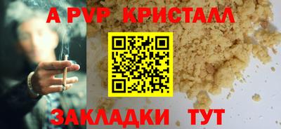 spice Гатчина