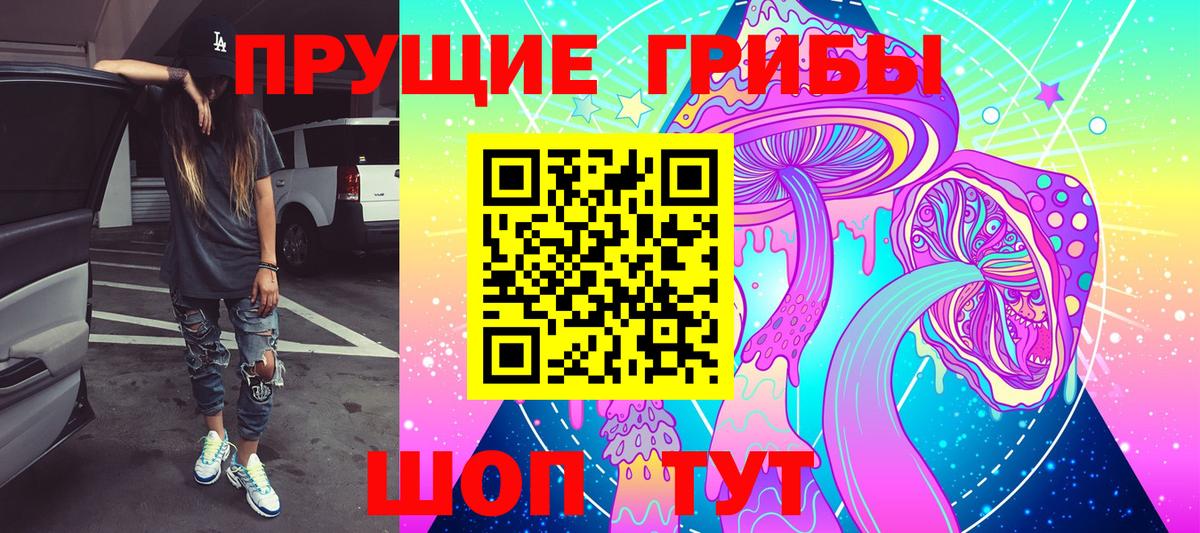 Псилоцибиновые грибы Magic Shrooms Кизляр