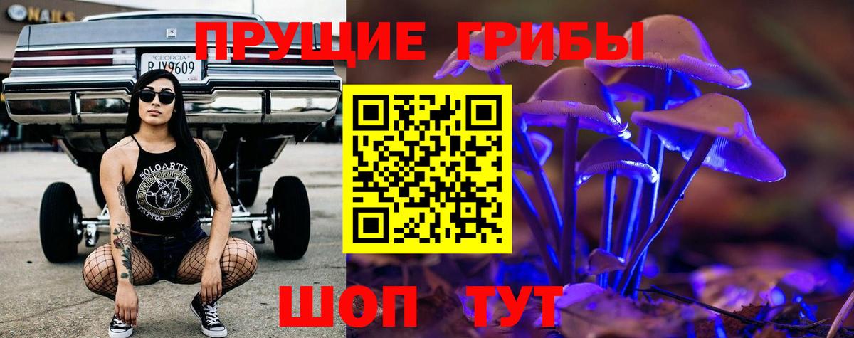 Псилоцибиновые грибы мухоморы  Галлюциногенные грибы Psilocybe  Кизляр  продажа наркотиков  Вход с VPN 